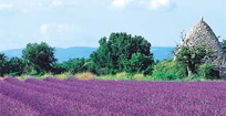 voyage à Manosque