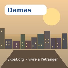 Sitemap Damas : toutes les pages utiles du dossier