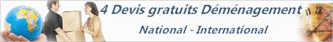 Demenagement international