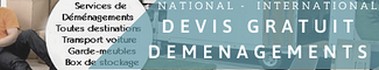 Expatriation et demenagement � Dubai